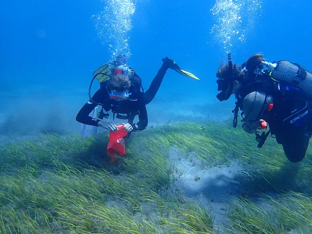 Buceo con tortugas