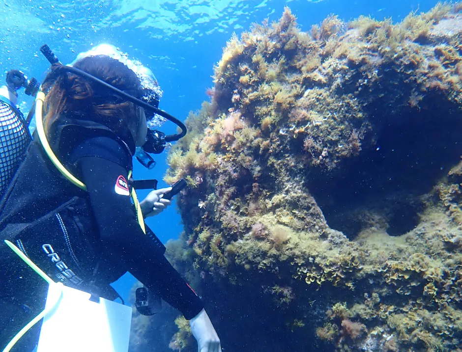 Marine Biology Internship tenerife, Erasmus Internship