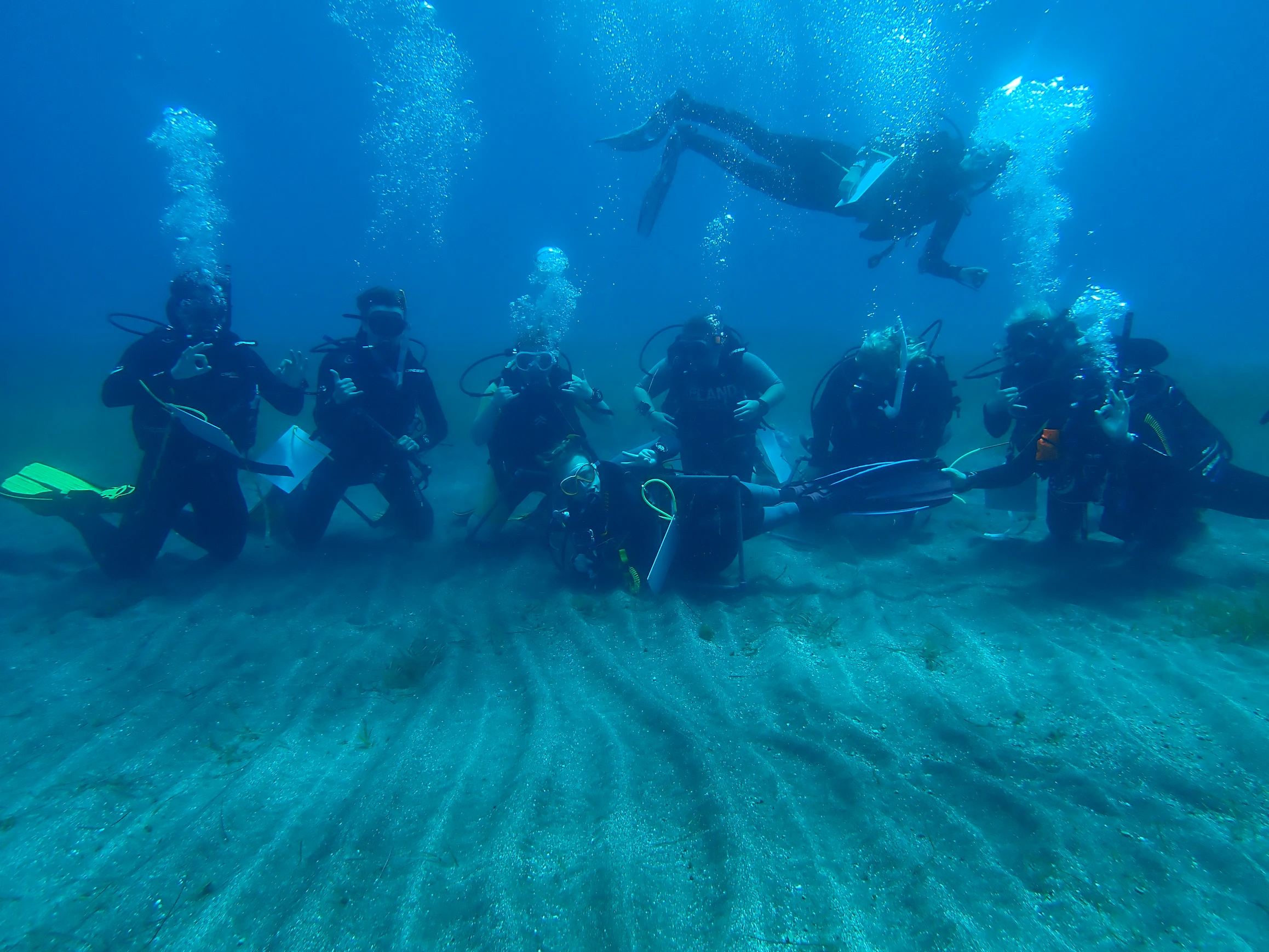 Marine Biology Internship Tenerife