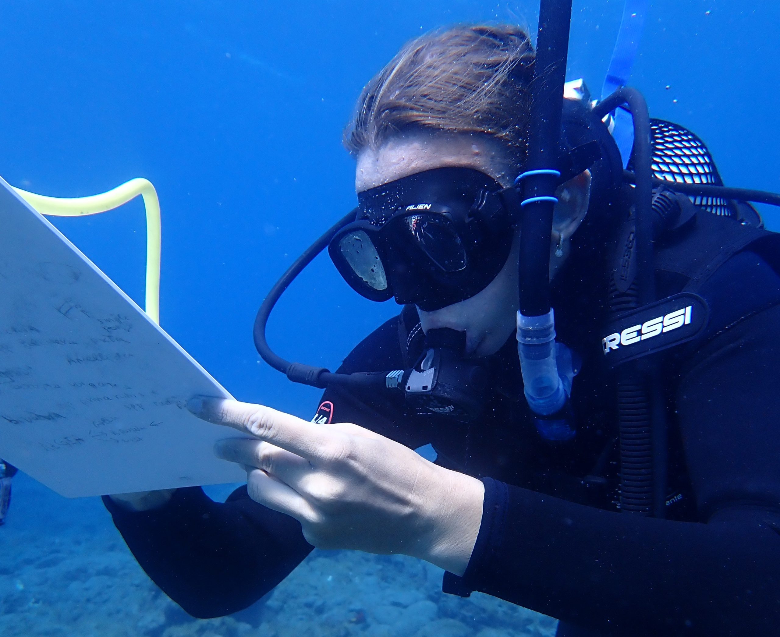 Marine Biology Internship Tenerife- Erasmus